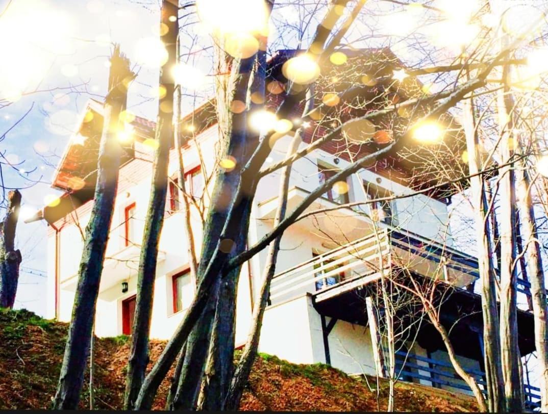 Villa 4Temporadas Bran  Exterior foto